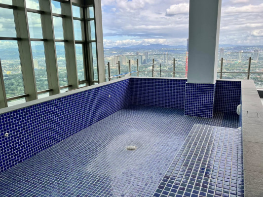The Viridian in Greenhills Penthouse Condominium for Sale