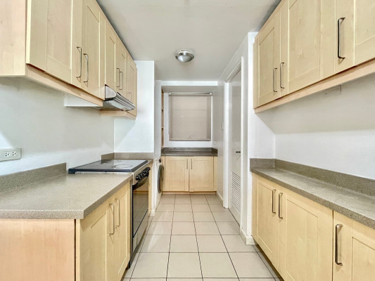 Warm and Spacious Brand New Three Bedroom 3BR Penthouse Double Unit condo